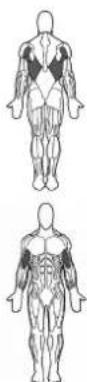 BOWFLEX Xtreme 2 SE - Sugerencias - 1