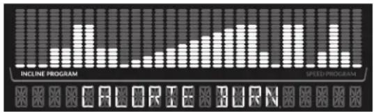 INCLINE PROGRAM SPEED PROGRAM