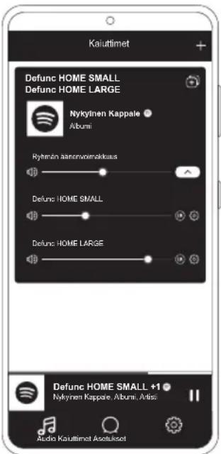 Defunc Home Small - KAIUTTIMEN KAYTTOONOTTO WI-FI-YHTEYDEN KAUTTA - 1