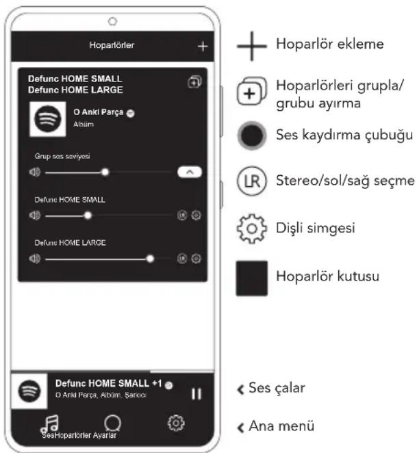 Defunc Home Small - WI-FI ILE HOPARLÖRUN AYARLANMASI - 1