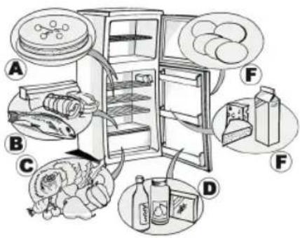 Diagram illustrating the internal components of a refrigerator with labeled parts A through F
