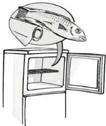 HOTPOINT HTM 1720 V - Wytwarzanie kostek lodu - 1
