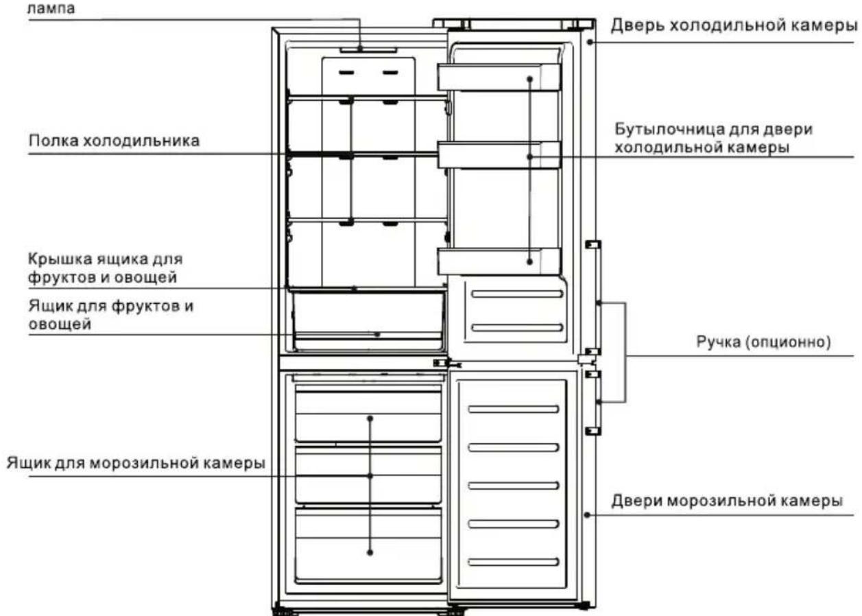 TCL RP318BWE0 - Описание прибора - 1