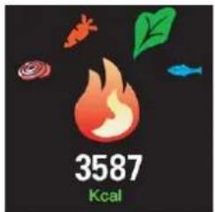 DENVER SWK110P - Kilocalorie - 1