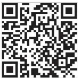 DENVER SW154 - Información sobre seguridad - 1