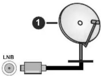HITACHI 55FB32HAQ6360 - Branchement de l'antenne - 1