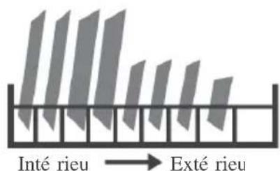 AYA 1247DB4SNE - GUIDE d'utilisation RAPIDE - 3