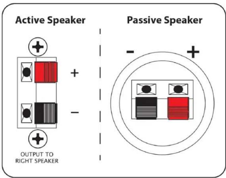 PRESONUS ERIS E5 BT - Connexions pour enceintes - 1
