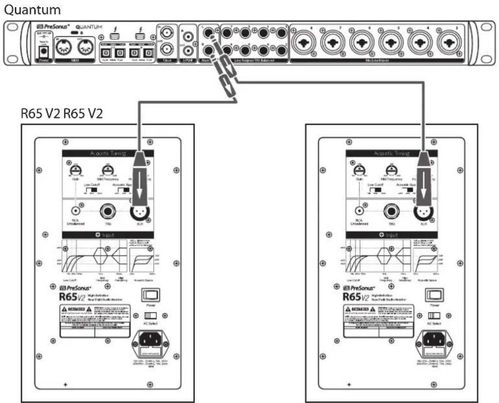 PRESONUS R65 V2 - Commandes d'optimisation acoustique - 6