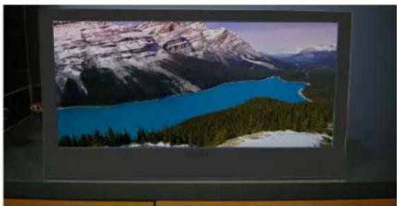 VIZIO M190VACA - Montage mural de votre TVHD - 1