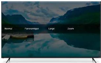 VIZIO M70F3 - Modification du FORMAT de CADRE de la TV - 2