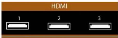 VIZIO M420NVCA - Connexions HDMI pour les lecteurs de DVD avec DVID - 1