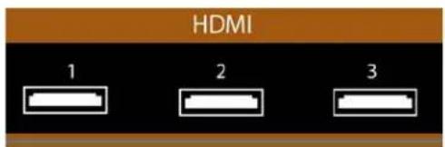 VIZIO M420NVCA - Utilisation de HDMI (optimum) - 1