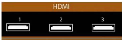 VIZIO M420NVCA - Utilisation de HDMI - 1