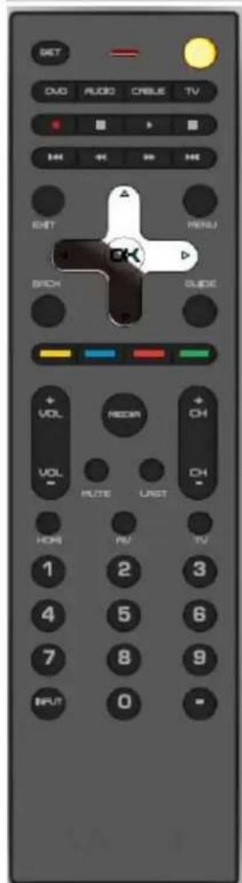 VIZIO M420NVCA - Boutons des couleurs (jaune, bleu, rouge et vert) : - 1