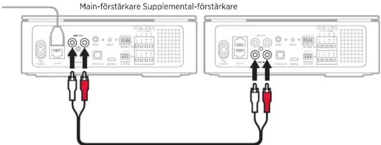 BOSE Music Amplifier - ANSLUTA TILL MAIN-FÖRSTÄRKAREN - 1