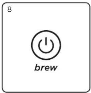 8 brew