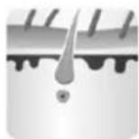 Concept Perfect Skin IL5020 - Three phases - the Anagen phase, the Catagen phase and the Telogen phase - 2