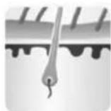Concept Perfect Skin IL5020 - Three phases - the Anagen phase, the Catagen phase and the Telogen phase - 1