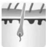 Concept Perfect Skin IL5020 - Treifaze-anagena,catagena 日 telogena - 1