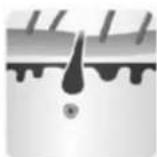 Concept Perfect Skin IL5020 - Treifaze-anagena,catagena 日 telogena - 3