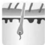 Concept Perfect Skin IL5020 - Három fázis - anagén, katagens éstelogen - 1