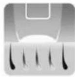 Concept Perfect Skin IL5020 - DEPILACJA - 2