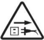 Sun Joe SBJ807E - Safety Symbols - 8