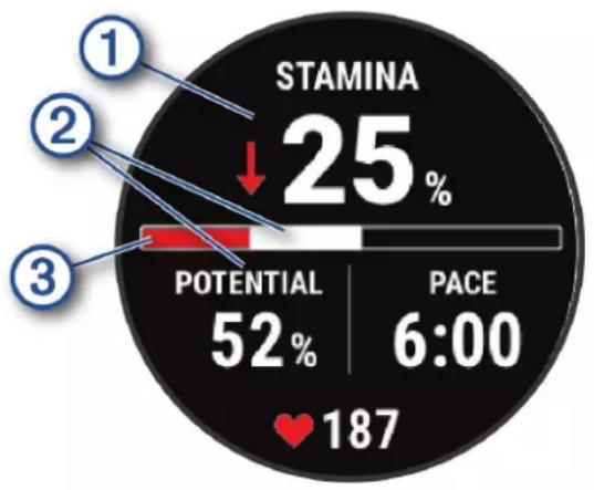 GARMIN MARQ Aviator (Gen 2) - Affichage de votre stamina en temps réel - 1