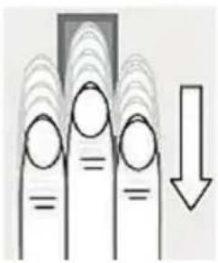 Vimar ELVOX 41016 - Verwendung des Fingerabdruckscanners - 5