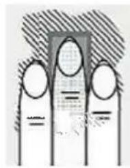 Vimar ELVOX 41016 - Verwendung des Fingerabdruckscanners - 4