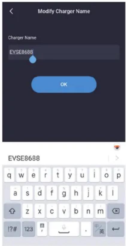 Telestar EC 311 S6 CEE - Seite zur "Einstellungen des Systems-Allgemeine Einstellungen-Password für Ladegerätändern" - 4