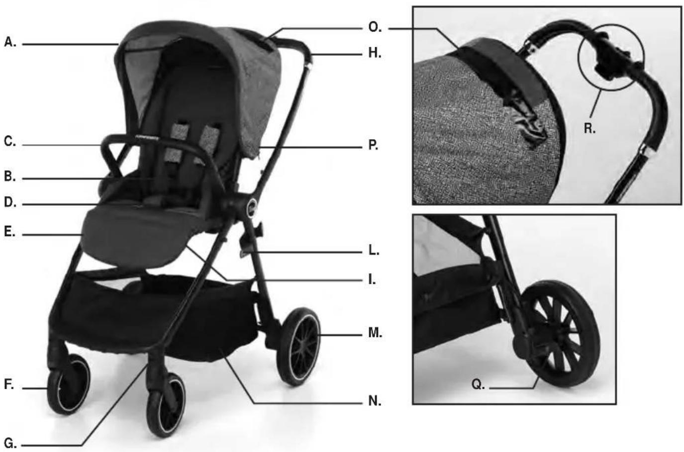 Foppapedretti Divo - 1