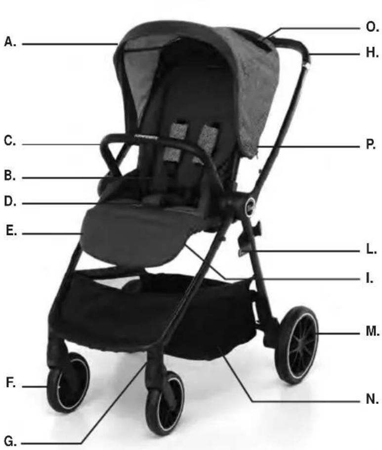 Foppapedretti Divo - 1