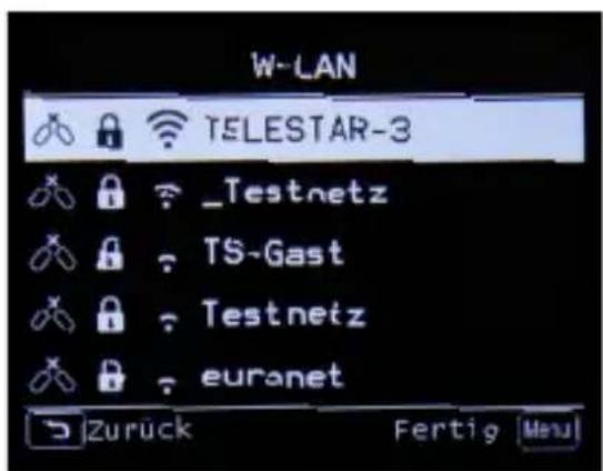 Telestar DIRA M 12i - Netzwerkausbahl - 1