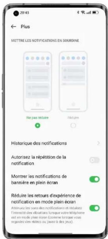20-45 ← Plus METTRE LES NOTIFICATIONS EN SOURDINE Ne pas réduire Réduire Historique des notifications Autorisez la répétition de la notification Montrer les notifications de bannière en plein écran Réduire les retours d'expérience de notification en mode plein écran Atténuez les sons des notifications et rédaizez l'intensité des vibrations lorsque votre téléphone est en mode plein écran (comme lorsque vous regardez des vidéos ou jouez à des jeux)