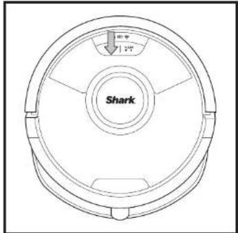 0.25 1.25 Shark