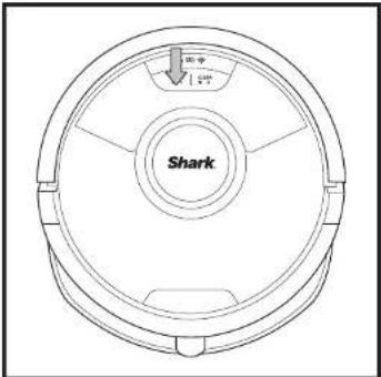 100 100 Shark