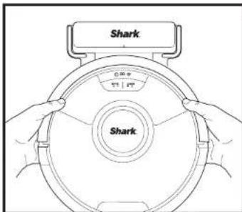 Shark 0.5V 1.5V Shark
