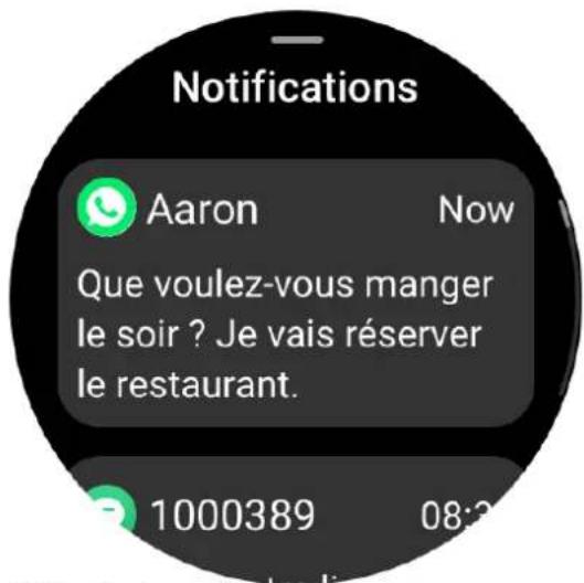 AMAZFIT Falcon - Alertes d'application - 1