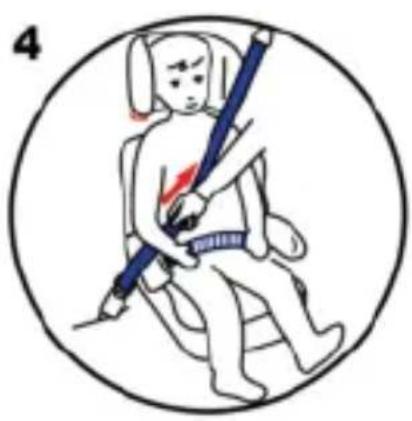 Osann Lupo Isofix - Utilisation pour 15-36 kg avec support Isofix - 4