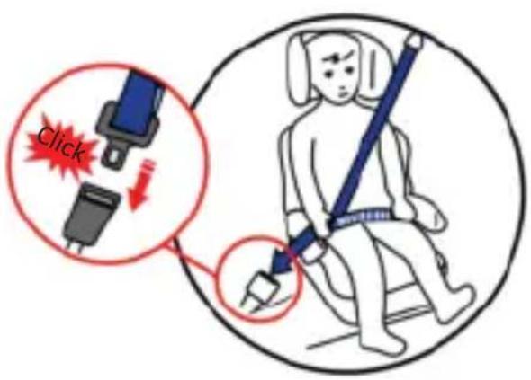 Osann Lupo Isofix - Fitti ng the car seat for 15-36 kg without Isofi x - 1