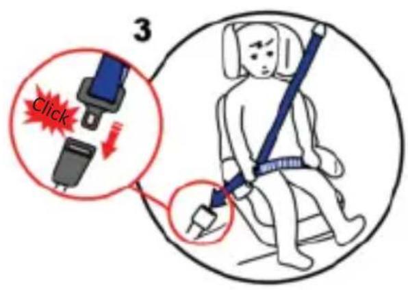 Osann Lupo Isofix - Fitti ng the car seat for 15-36 kg with Isofi x - 3