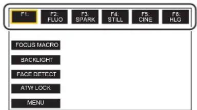 PANASONIC HCX2E - Dans le menu [fichier scène] → [sél. fichier] → choisir le fichier scène à sélectionner. - 1