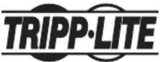 Tripp Lite U44406NHD8KW - Información de Cumplimiento con WEEE para Clientes y Recicladores de Tripp Lite (Unión Europea) - 2