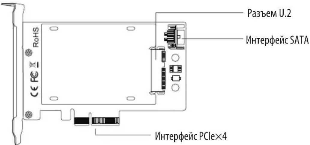 Tripp Lite P970U2M2 - yCTaHOBka - 1