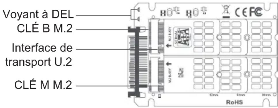 Tripp Lite P970U2M2 - Remarques : - 1