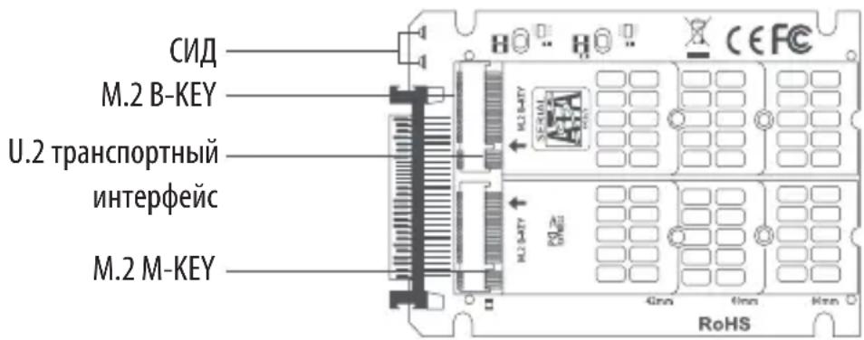 Tripp Lite P970U2M2 - Ipumeyanua: - 1