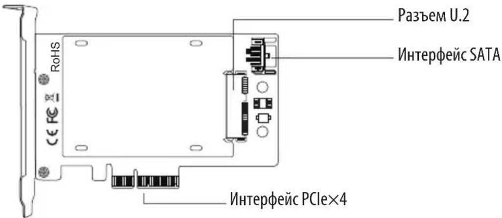 Tripp Lite PCEU2PX4 - Примечания: - 1