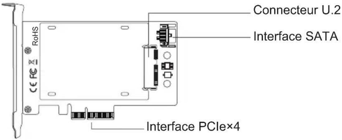 Tripp Lite PCEU2PX4 - Remarques : - 1
